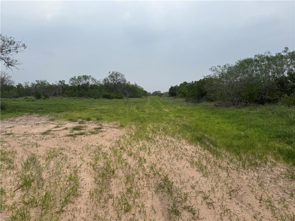 18.22 acres in Jim Wells County gallery image 3