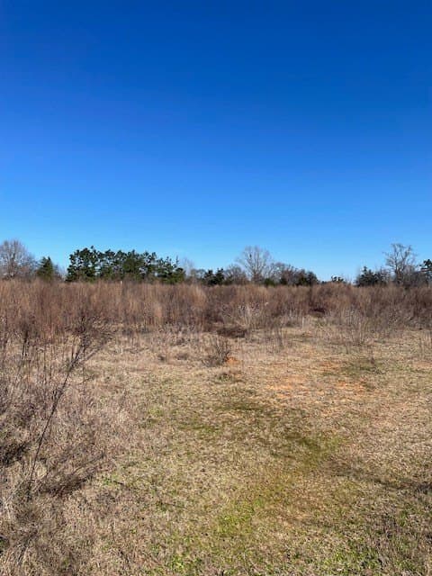 34.18 acres in Texas County featured view