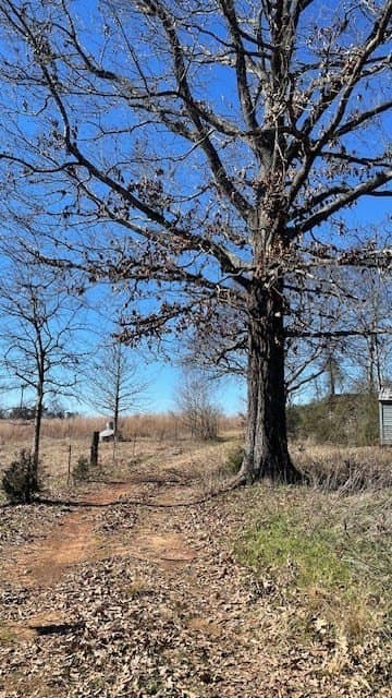 34.18 acres in Texas County gallery image 2