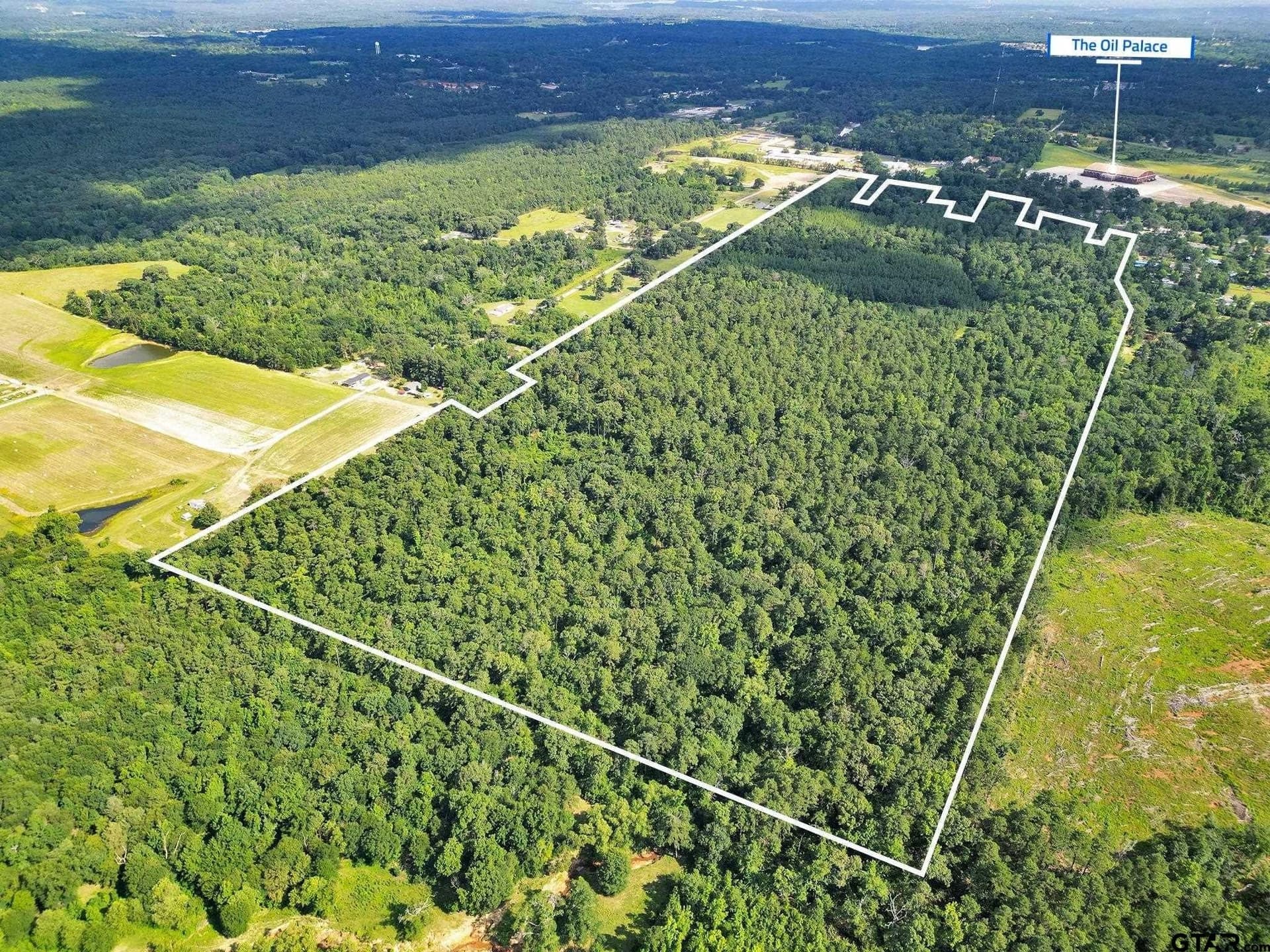 115.17 acres in Smith County gallery image 3