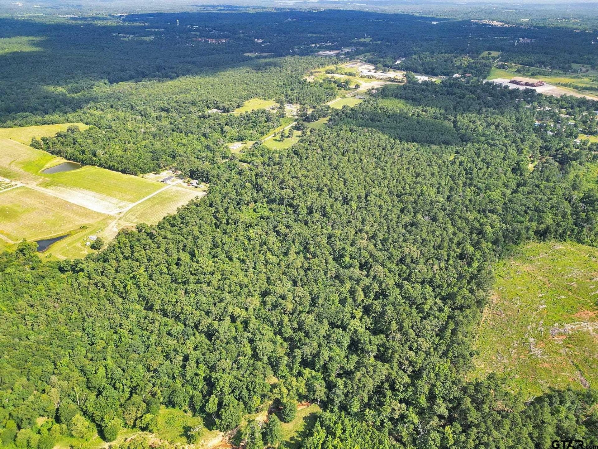 115.17 acres in Smith County gallery image 4