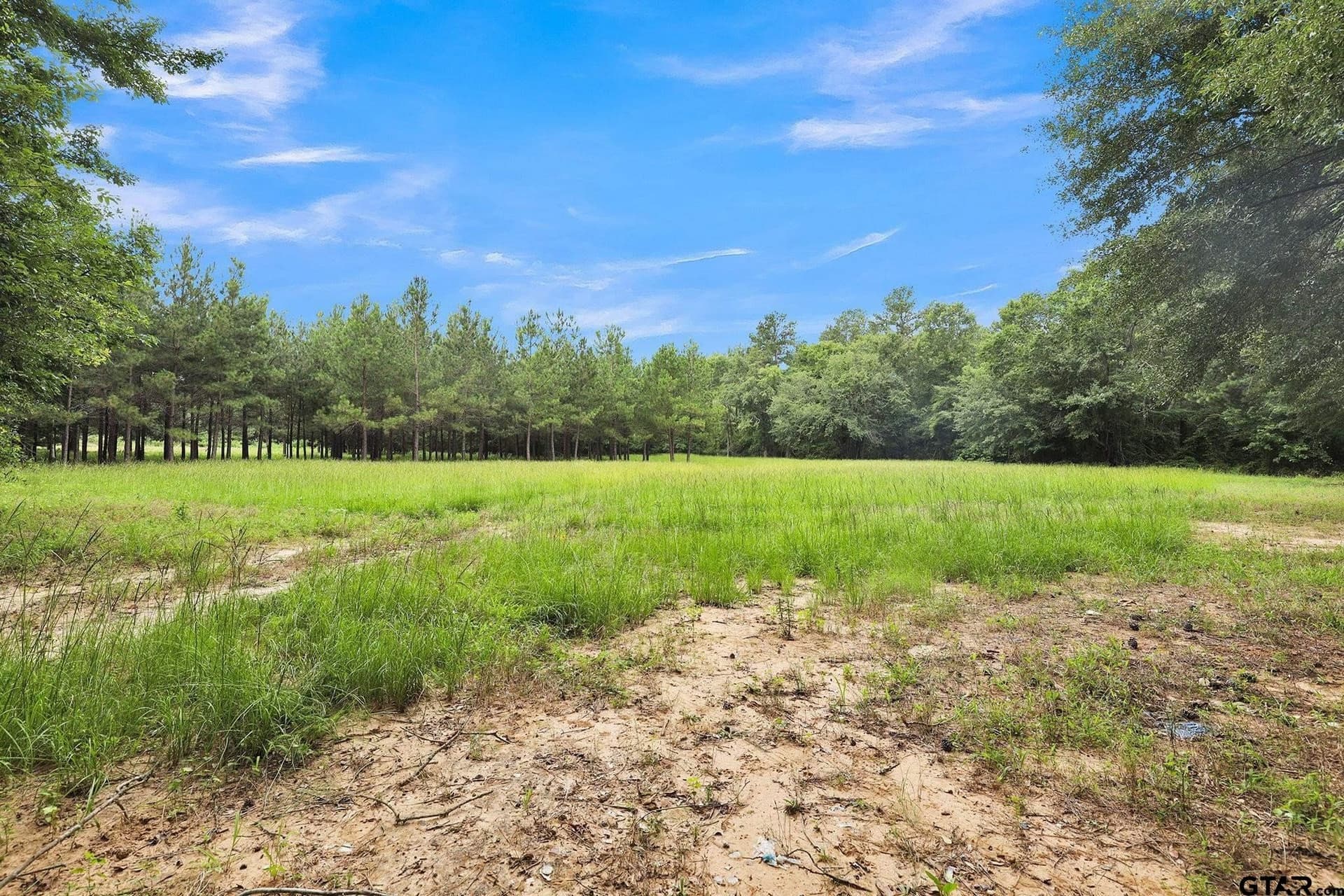 115.17 acres in Smith County