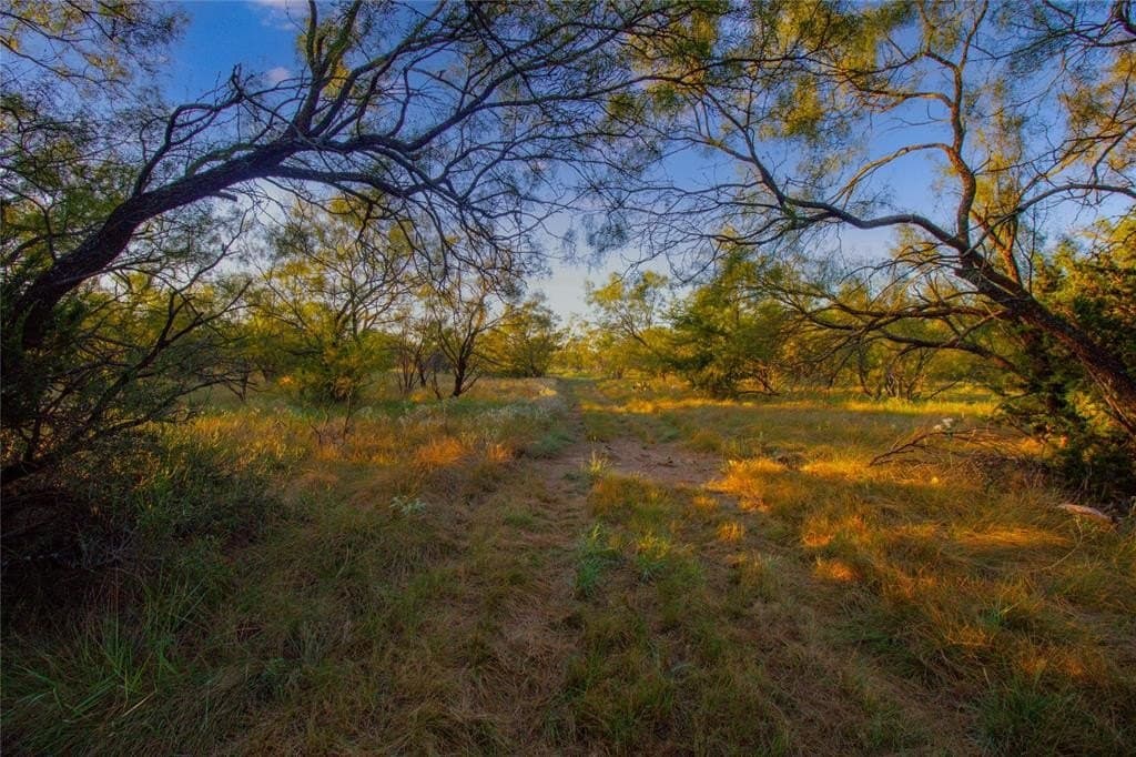 31.83 acres in Palo Pinto County featured view