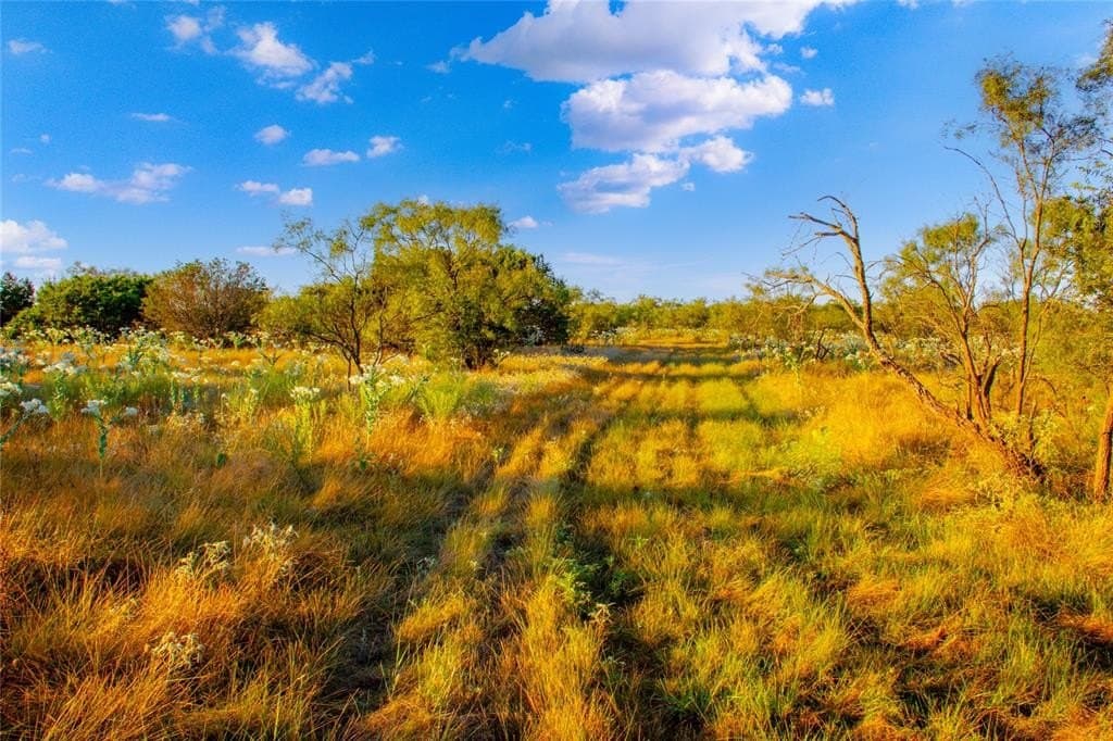 31.83 acres in Palo Pinto County gallery image 3