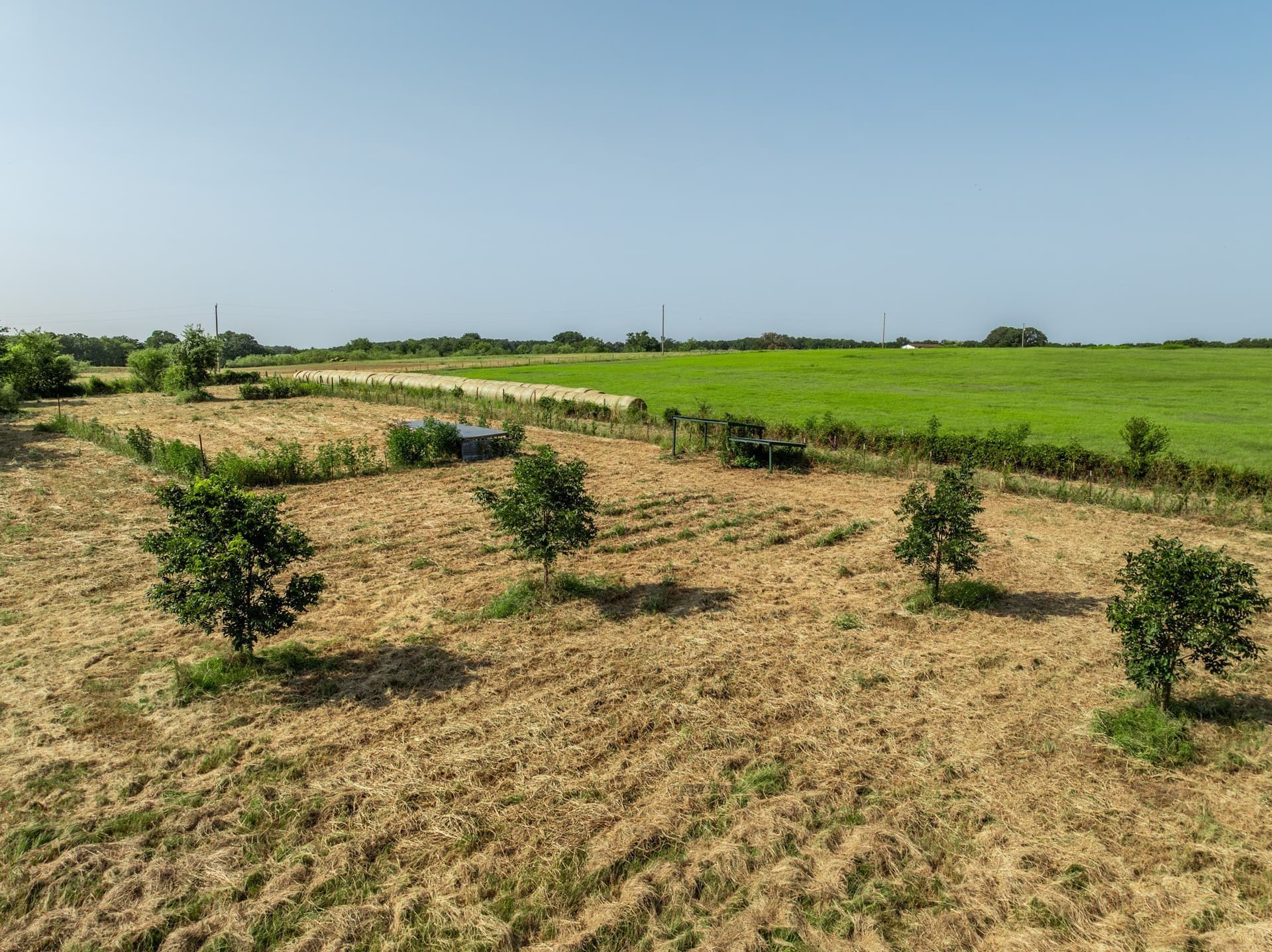 2.2 acres in Hill County - photo 17