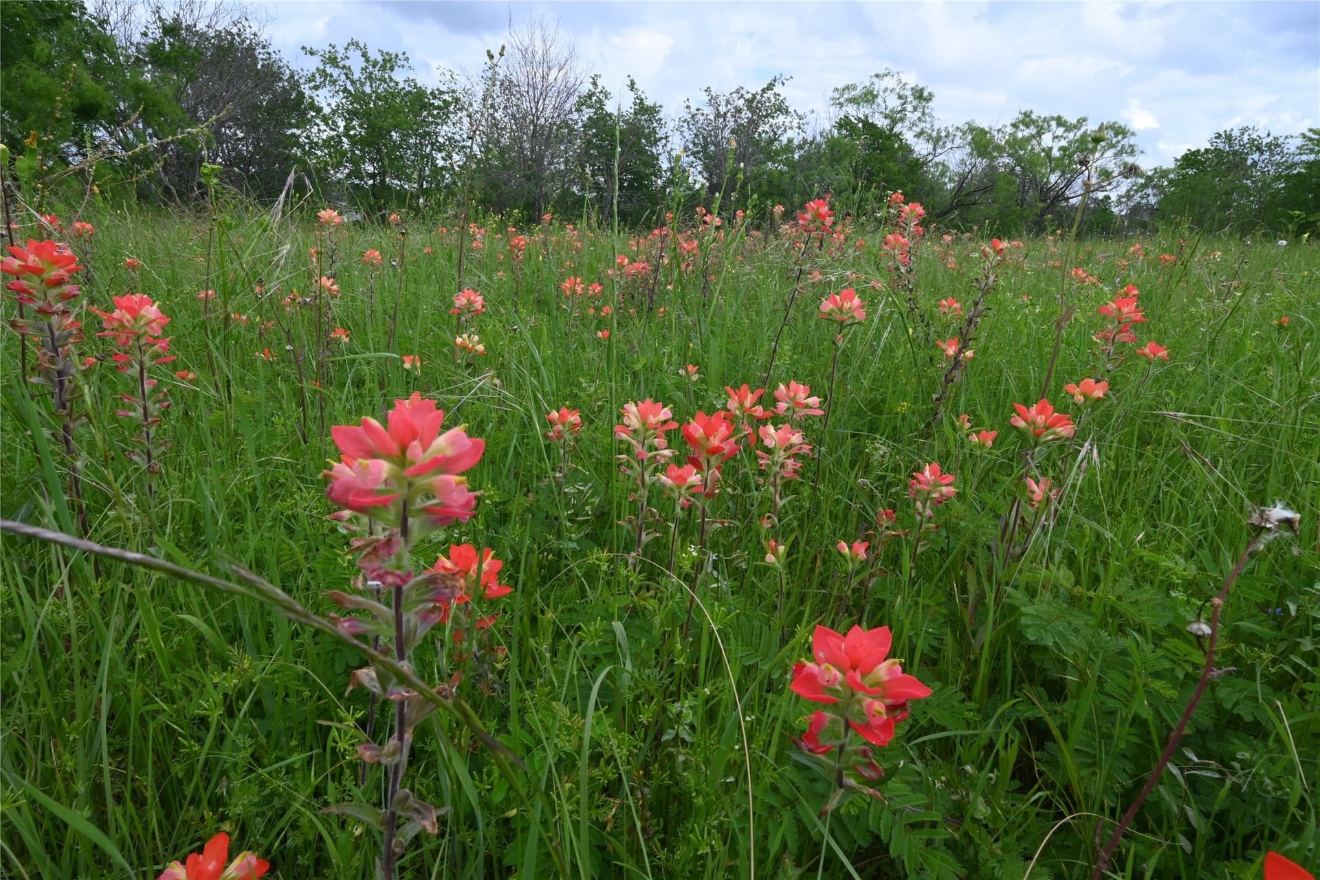 2.84 acres in Ellis County gallery image 4