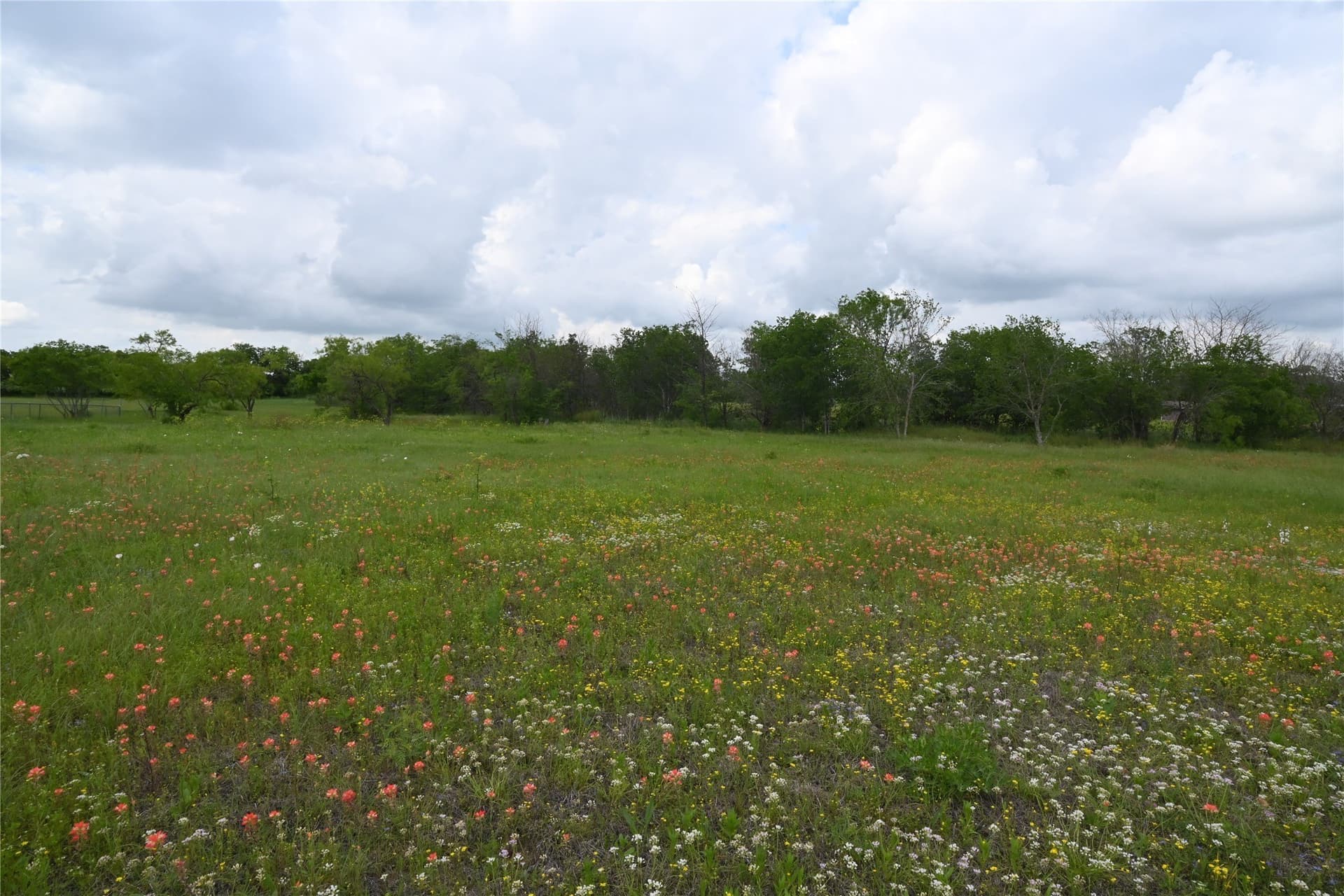 2.84 acres in Ellis County - photo 10