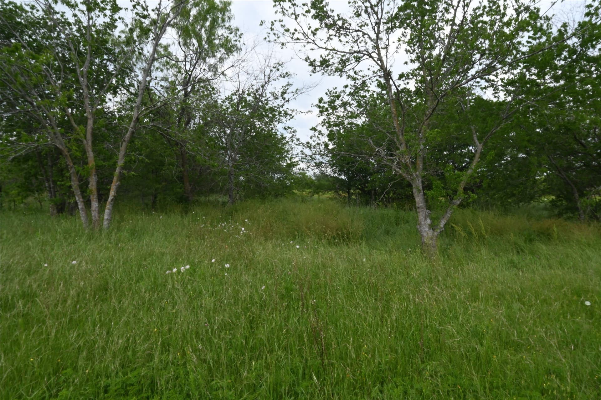 2.84 acres in Ellis County - photo 13