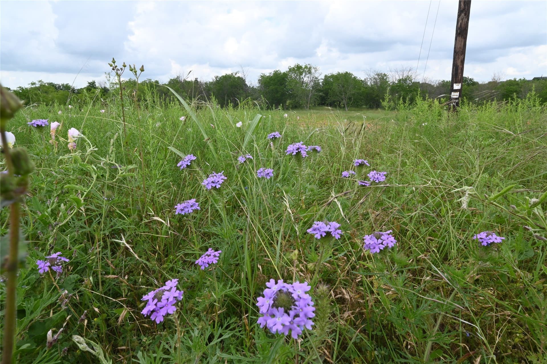 2.84 acres in Ellis County featured view