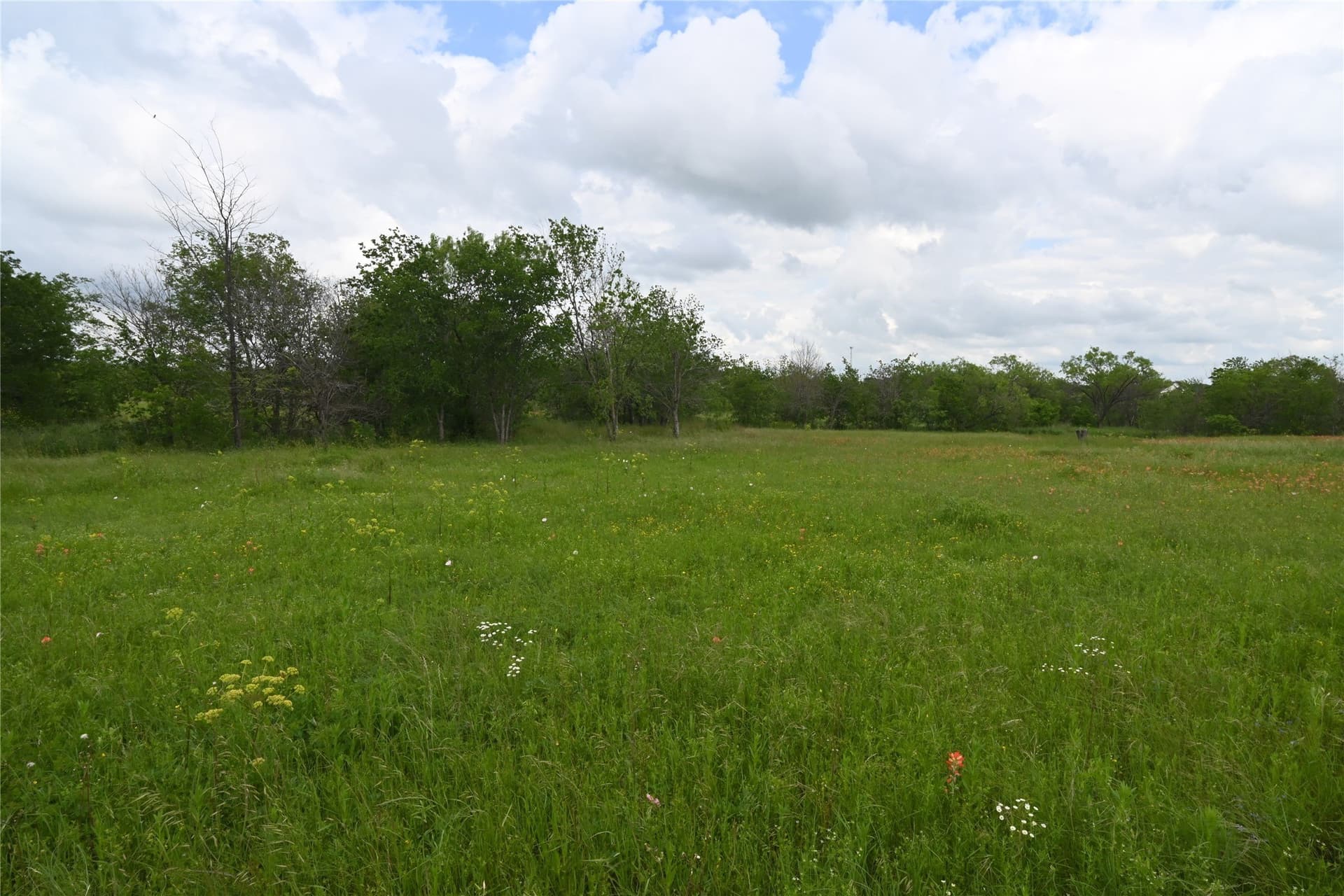 2.84 acres in Ellis County - photo 11