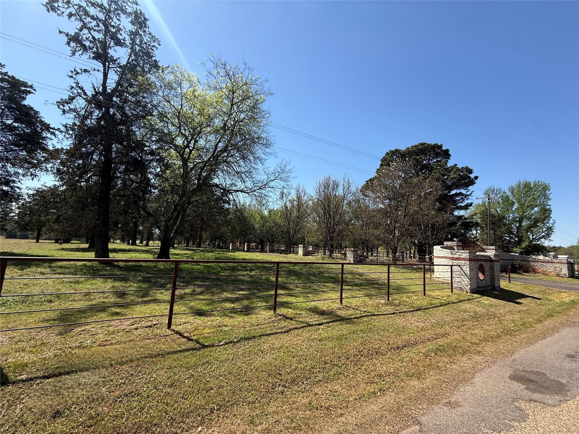 31.54 acres in Titus County - photo 6