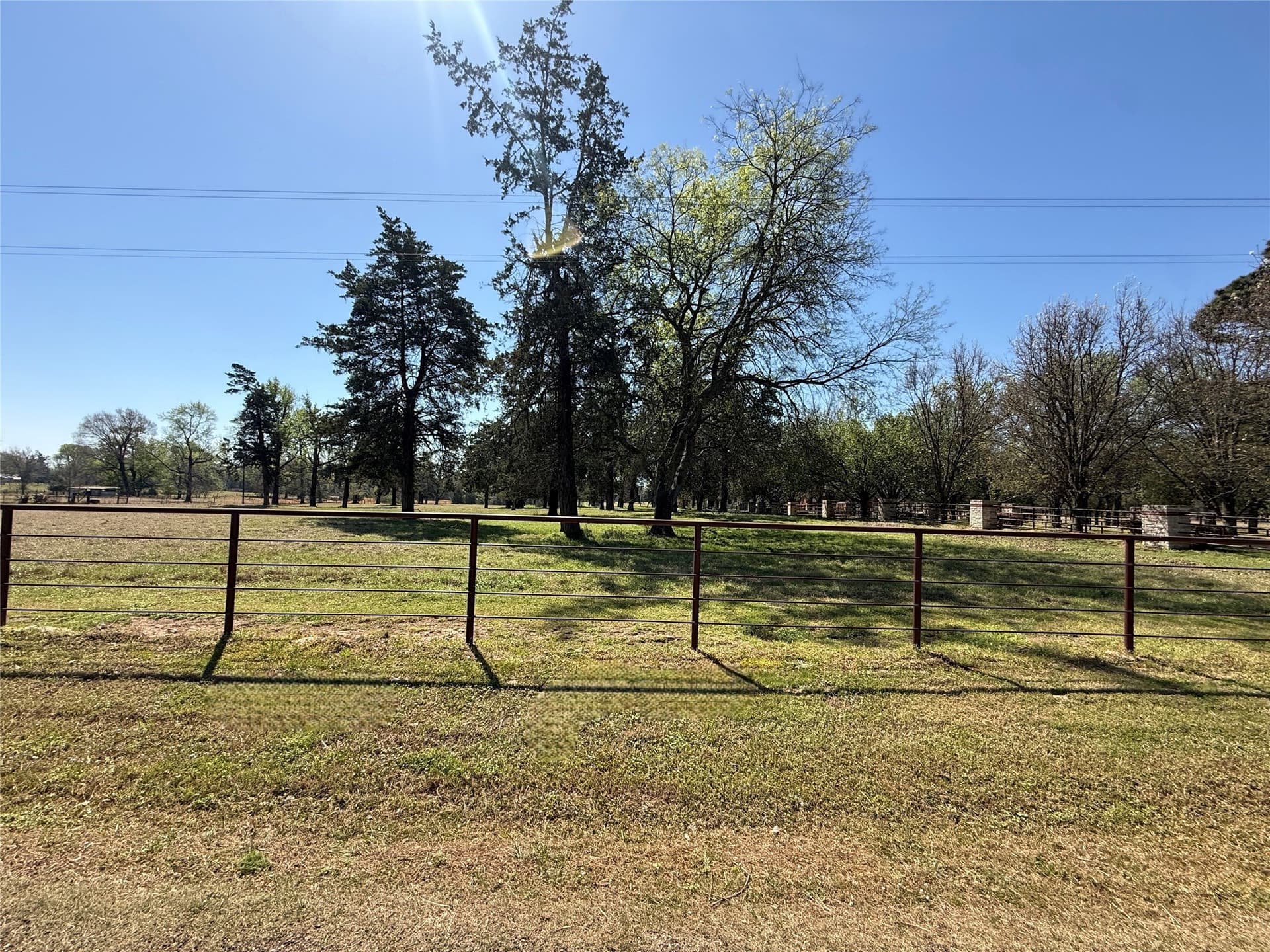 31.54 acres in Titus County - photo 8