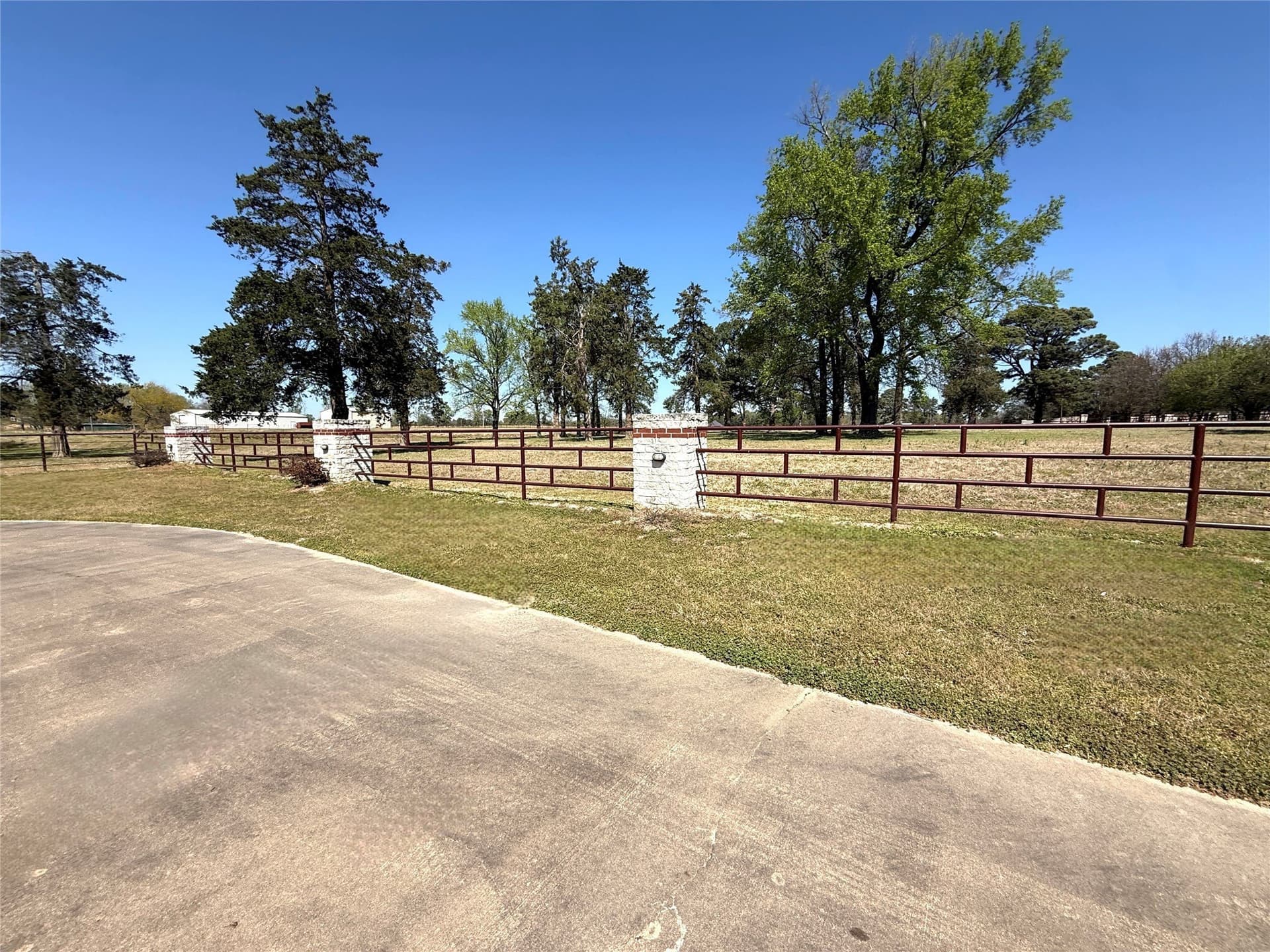 31.54 acres in Titus County gallery image 3