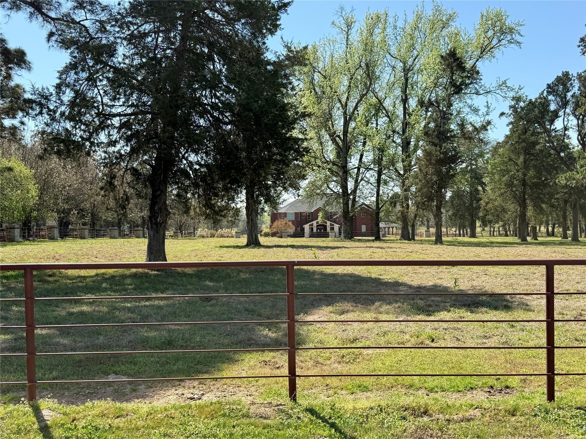 31.54 acres in Titus County - photo 7