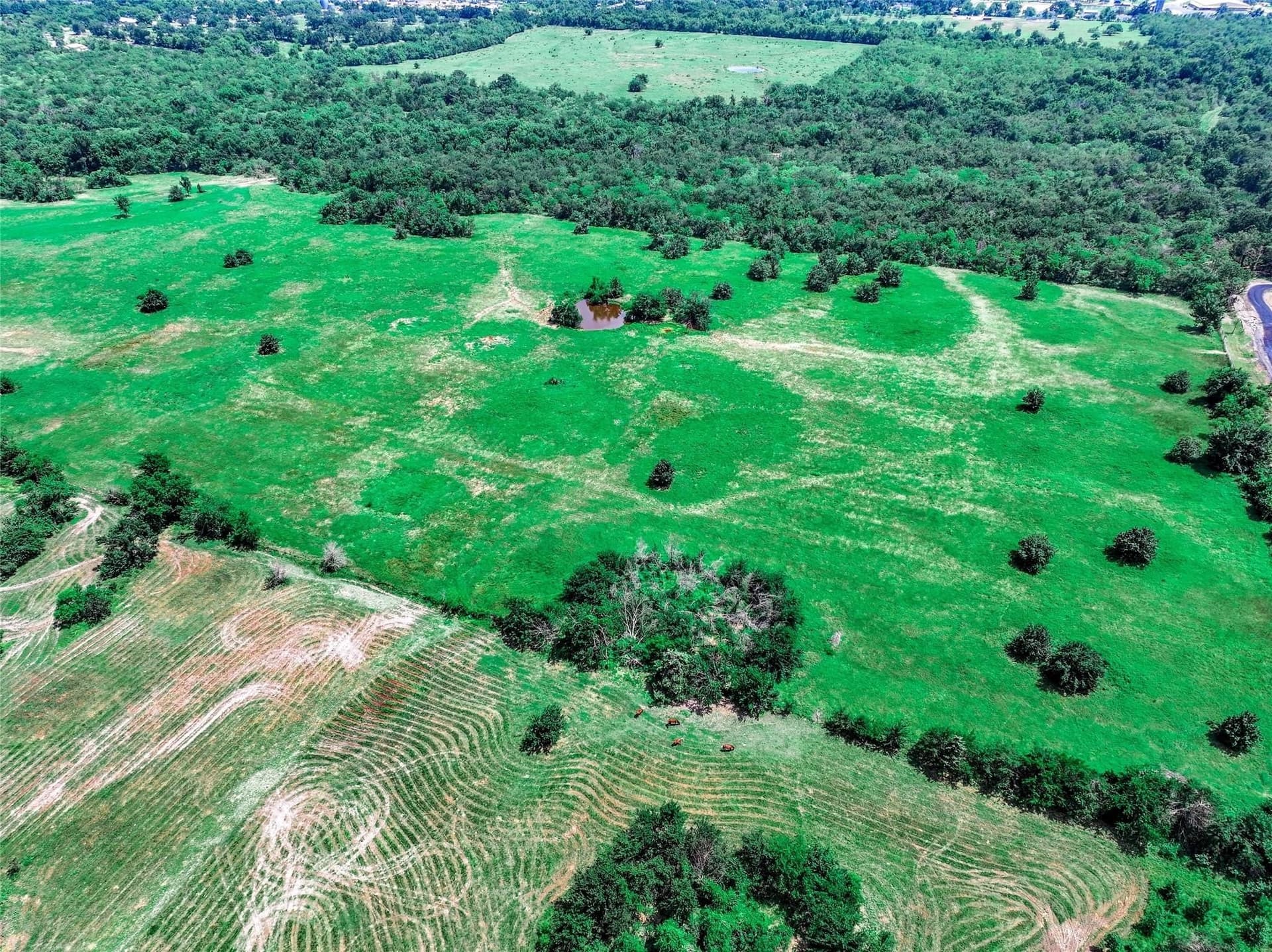 41.91 acres in Hopkins County - photo 18