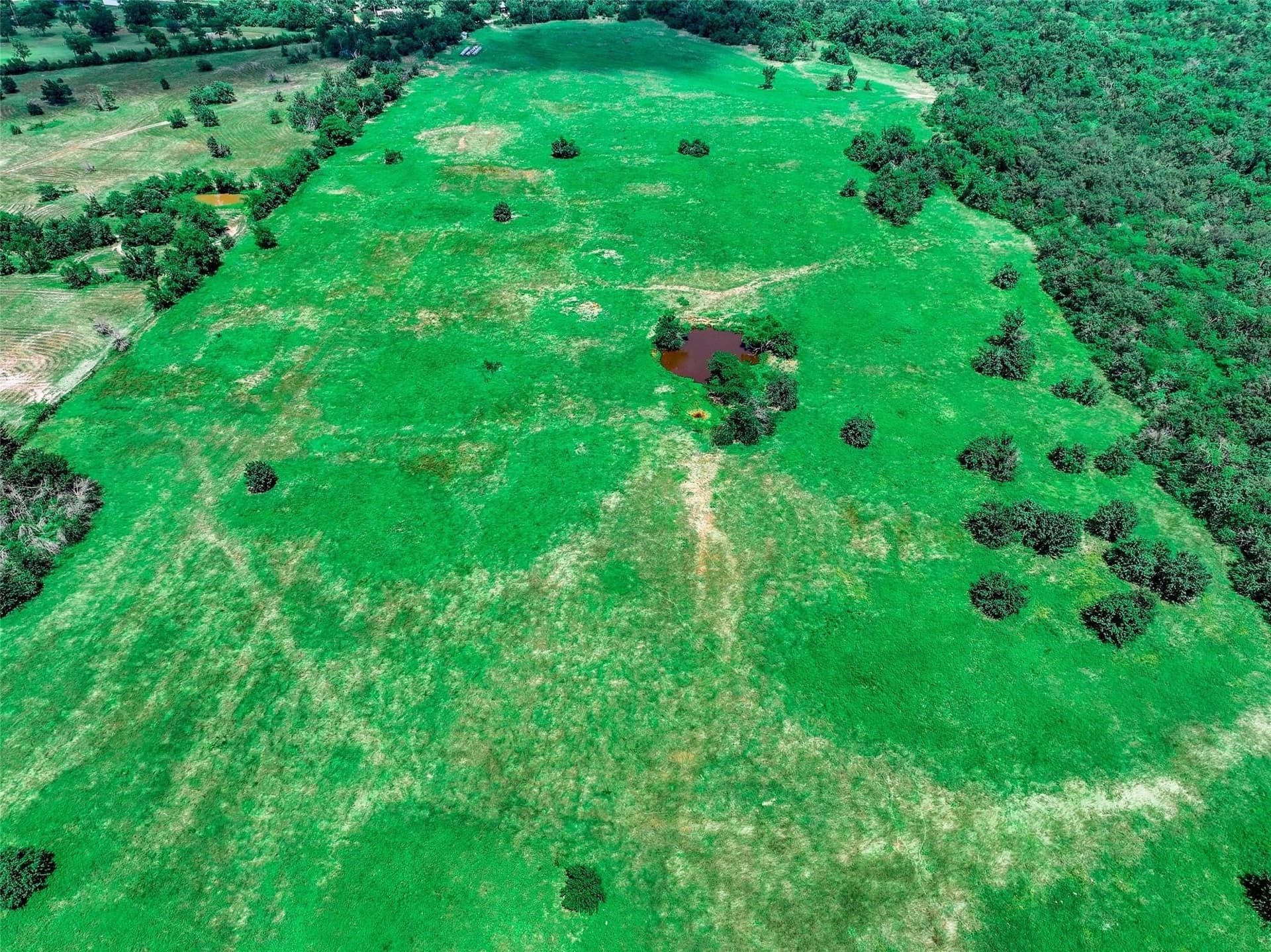 41.91 acres in Hopkins County - photo 19