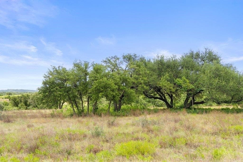 5.88 acres in Blanco County - photo 4