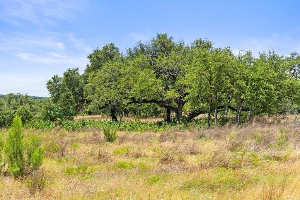 5.88 acres in Blanco County - photo 14