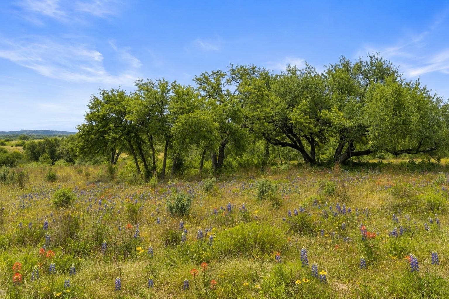 5.88 acres in Blanco County - photo 2