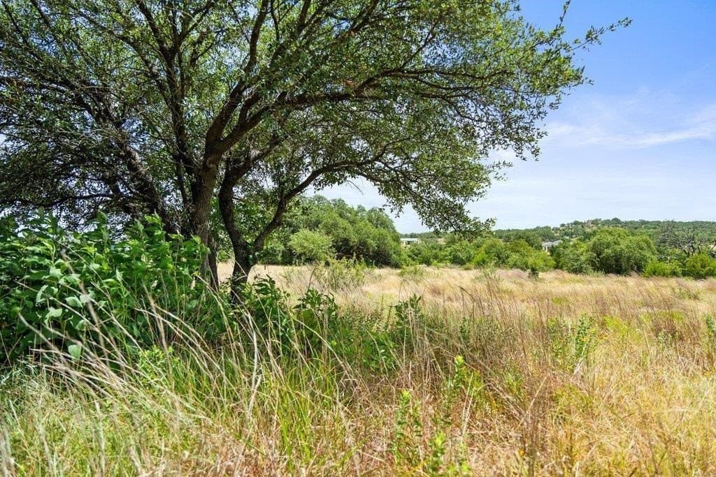5.88 acres in Blanco County - photo 9