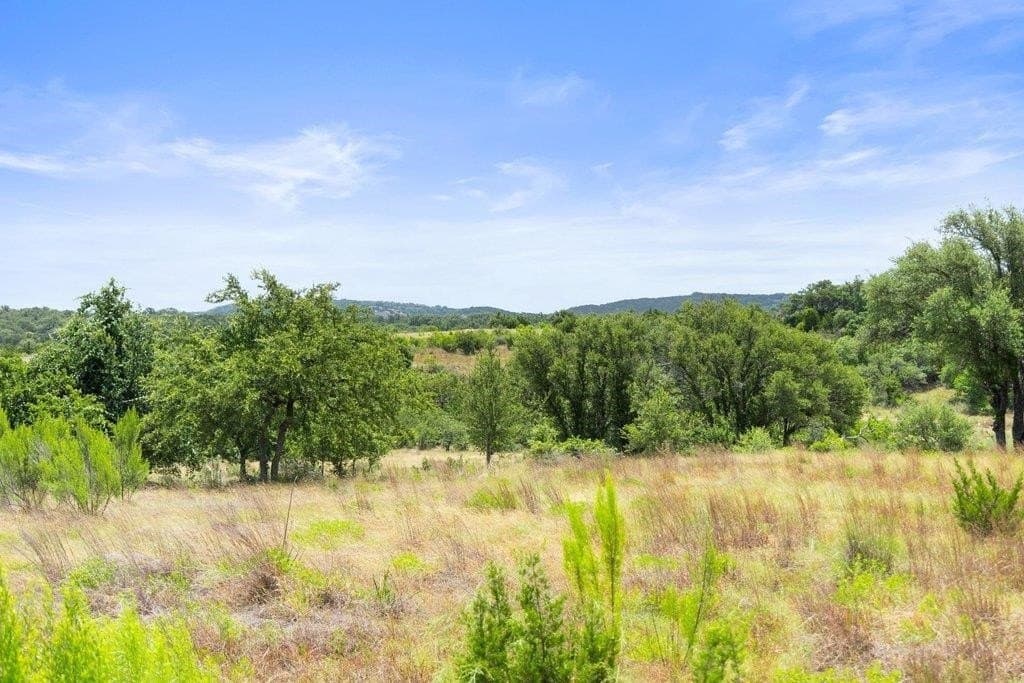 5.88 acres in Blanco County - photo 6