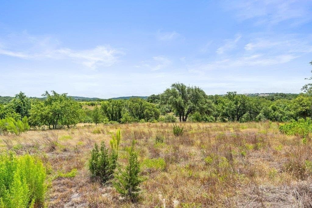 5.88 acres in Blanco County - photo 7