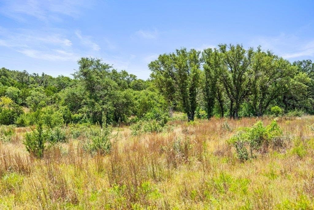 5.88 acres in Blanco County - photo 13