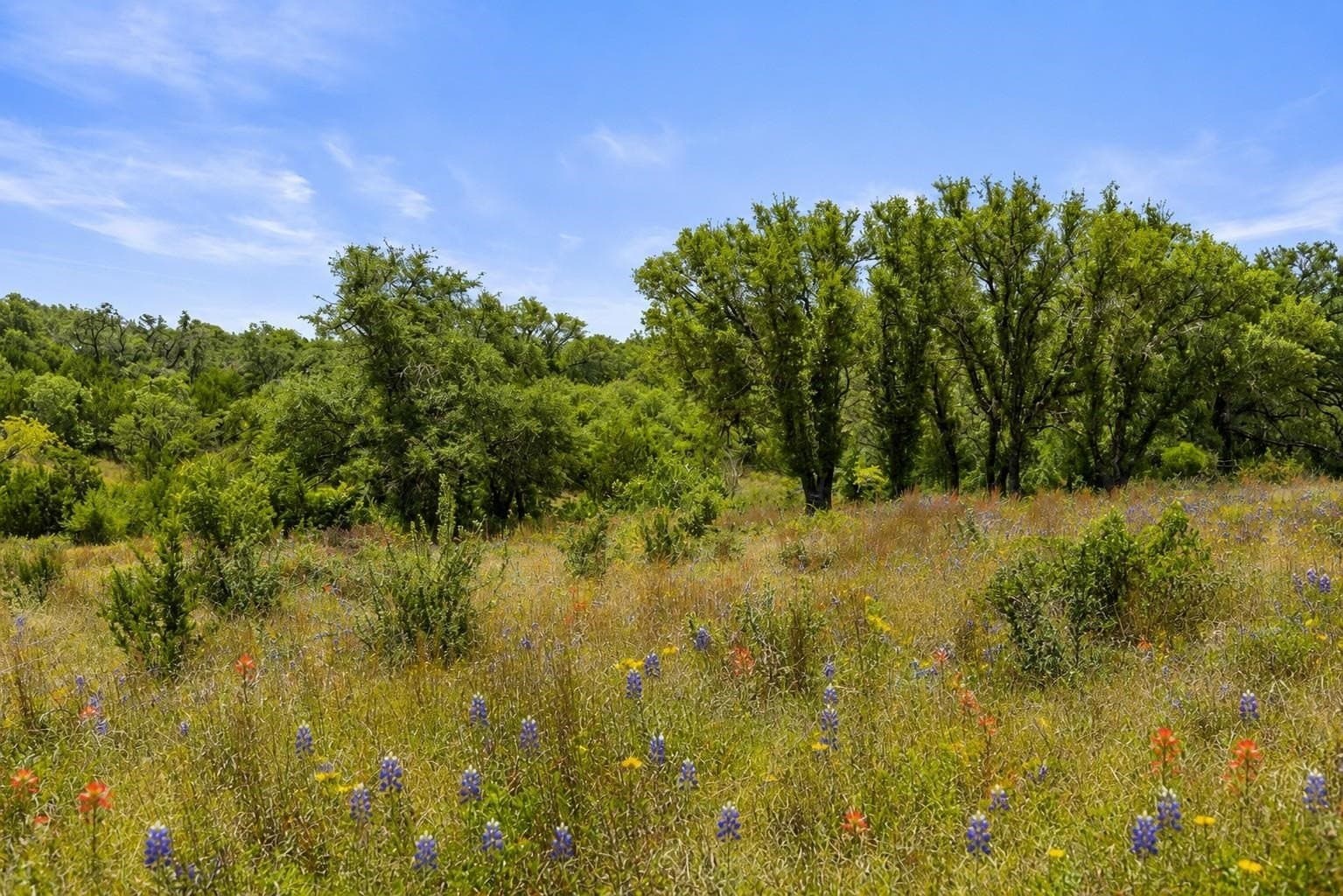 5.88 acres in Blanco County - photo 3