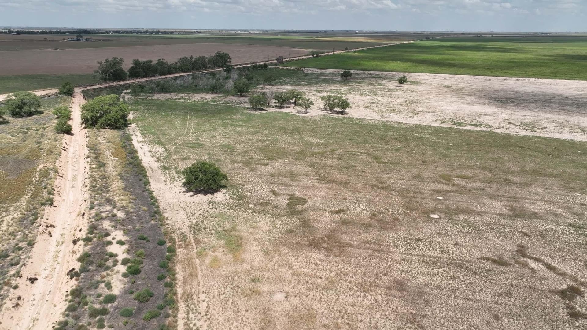 50 acres in Bailey County gallery image 3
