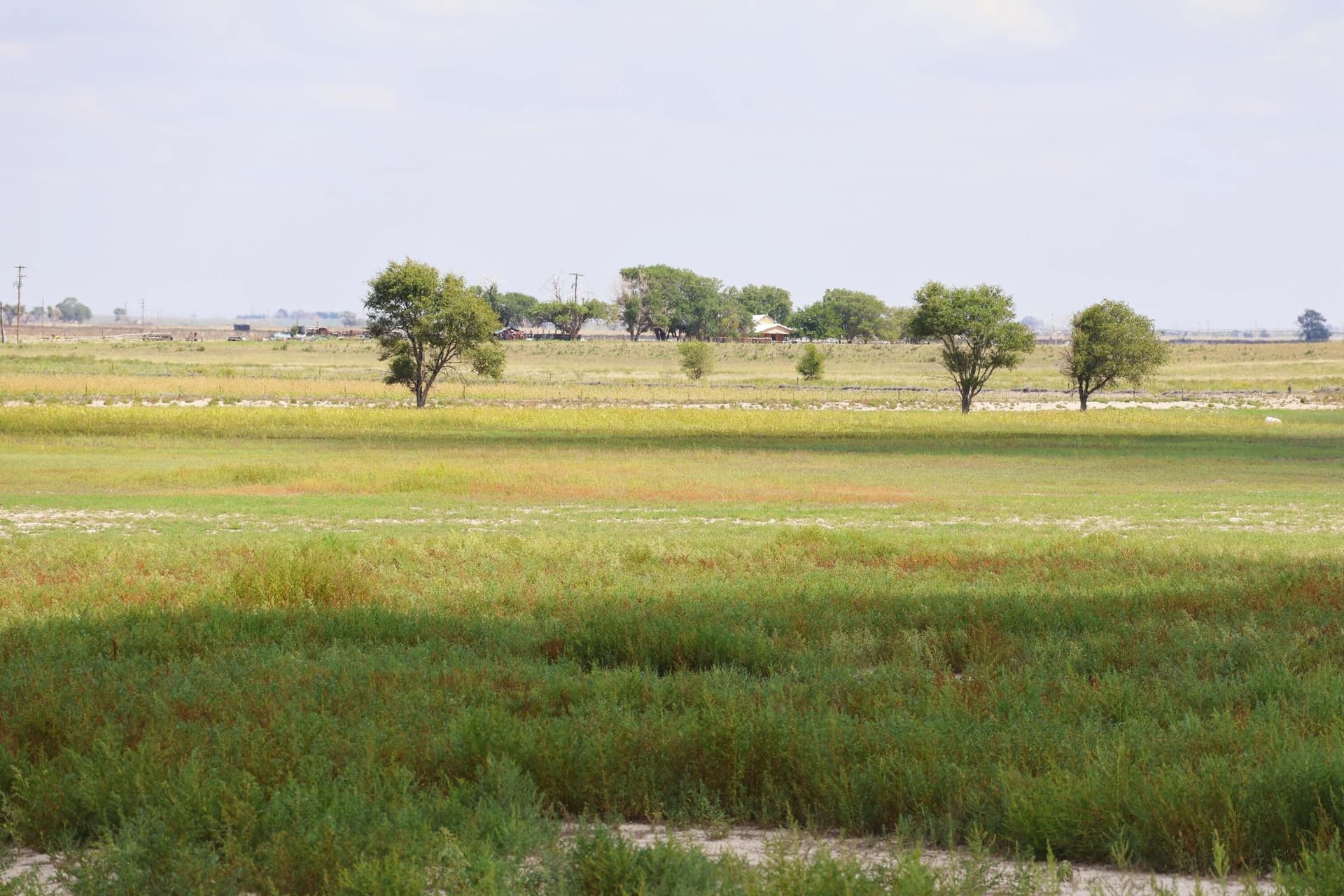 50 acres in Bailey County featured view