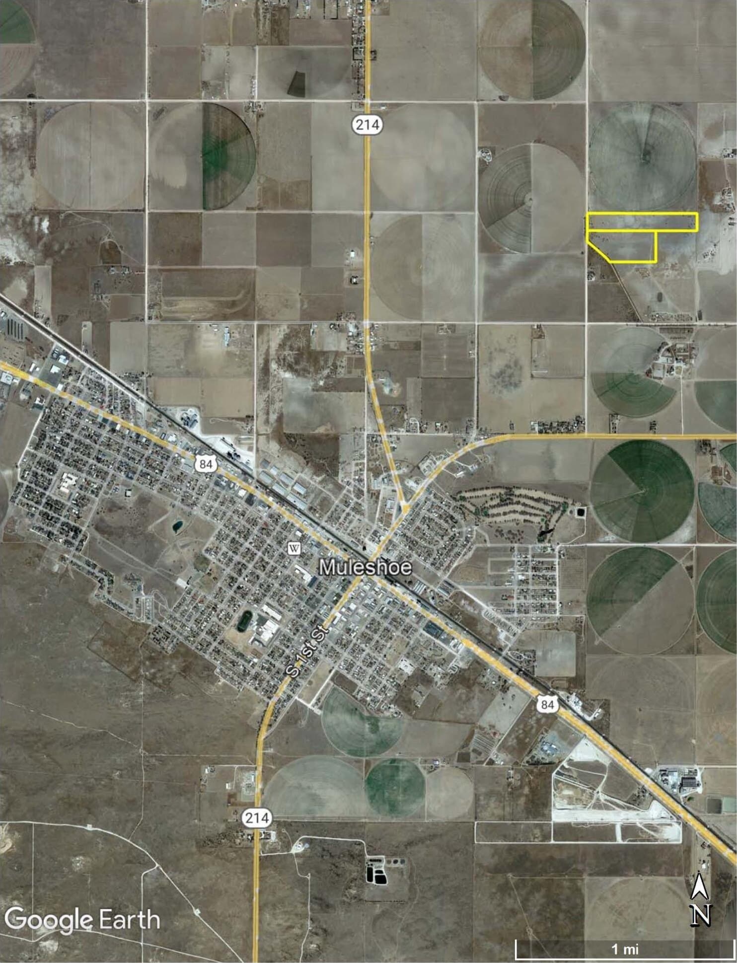 50 acres in Bailey County gallery image 2