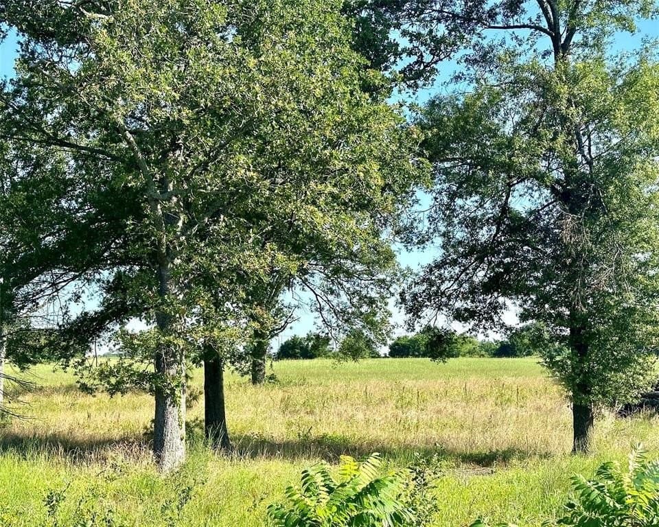 2.21 acres in Rains County