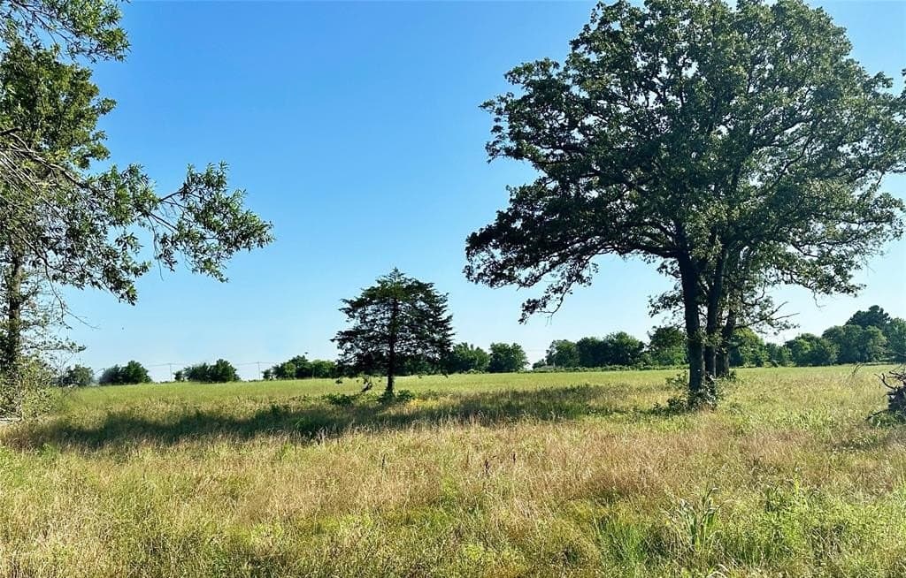 2.21 acres in Rains County gallery image 2