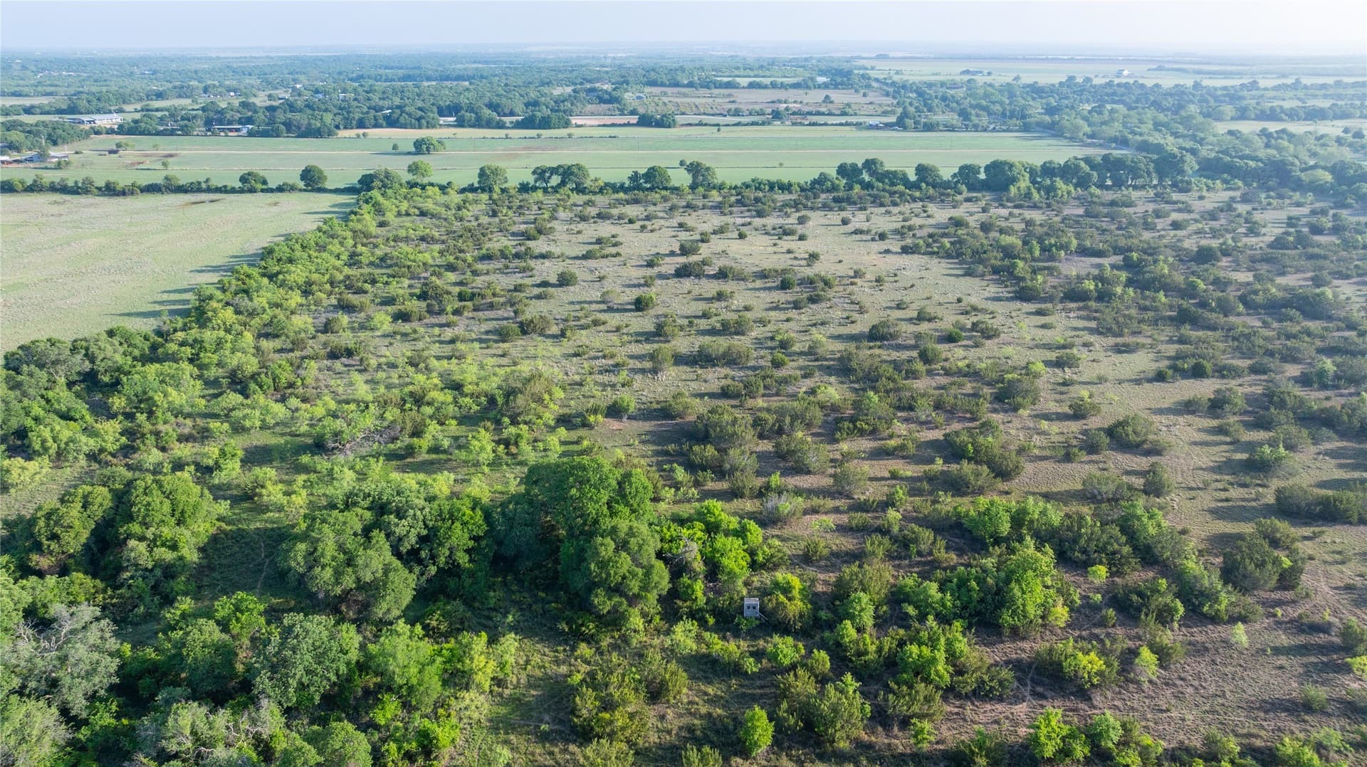 33 acres in Callahan County - photo 12