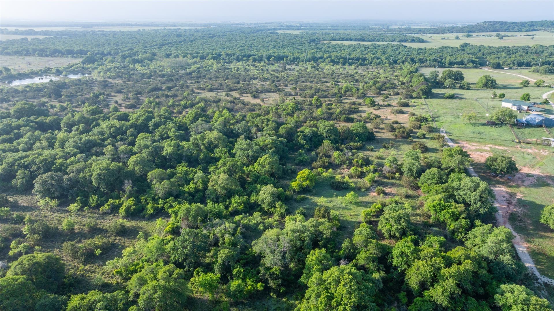 33 acres in Callahan County - photo 9