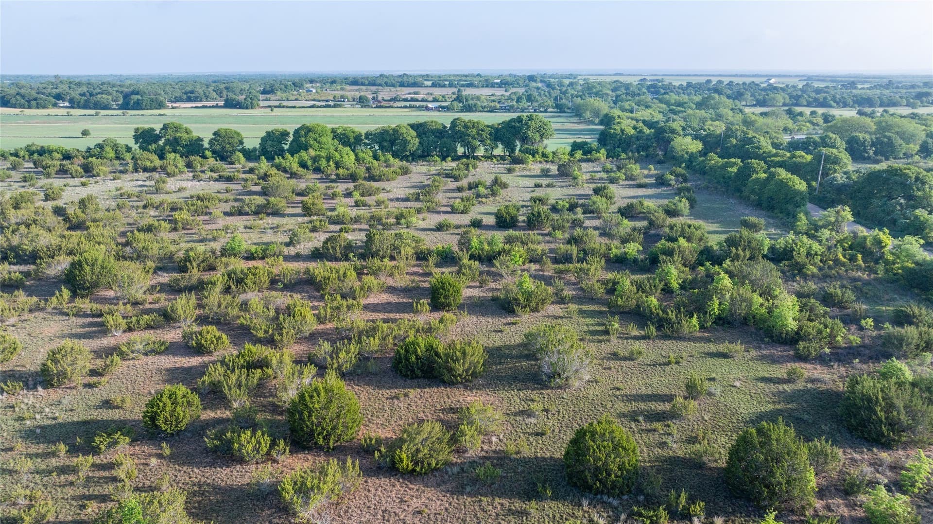 33 acres in Callahan County - photo 14