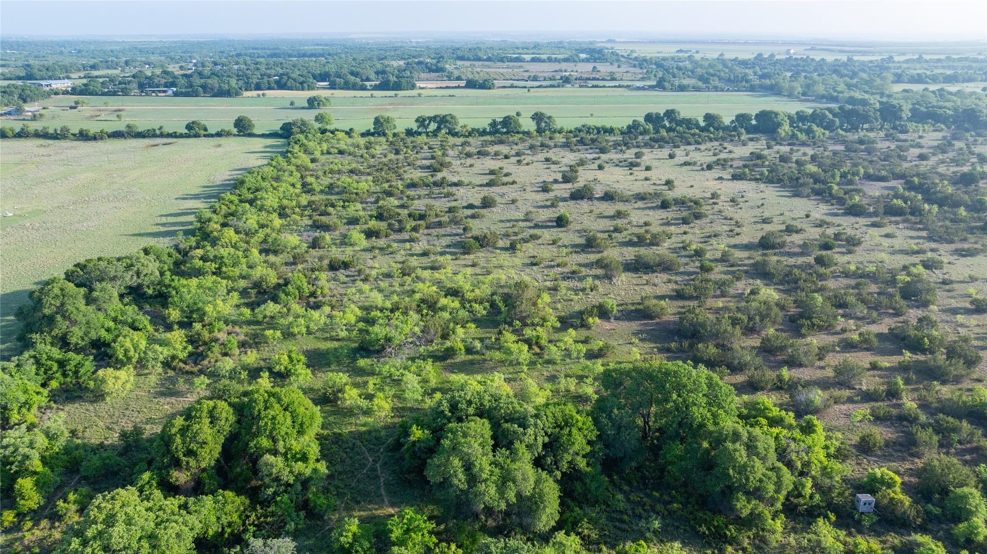 33 acres in Callahan County - photo 11