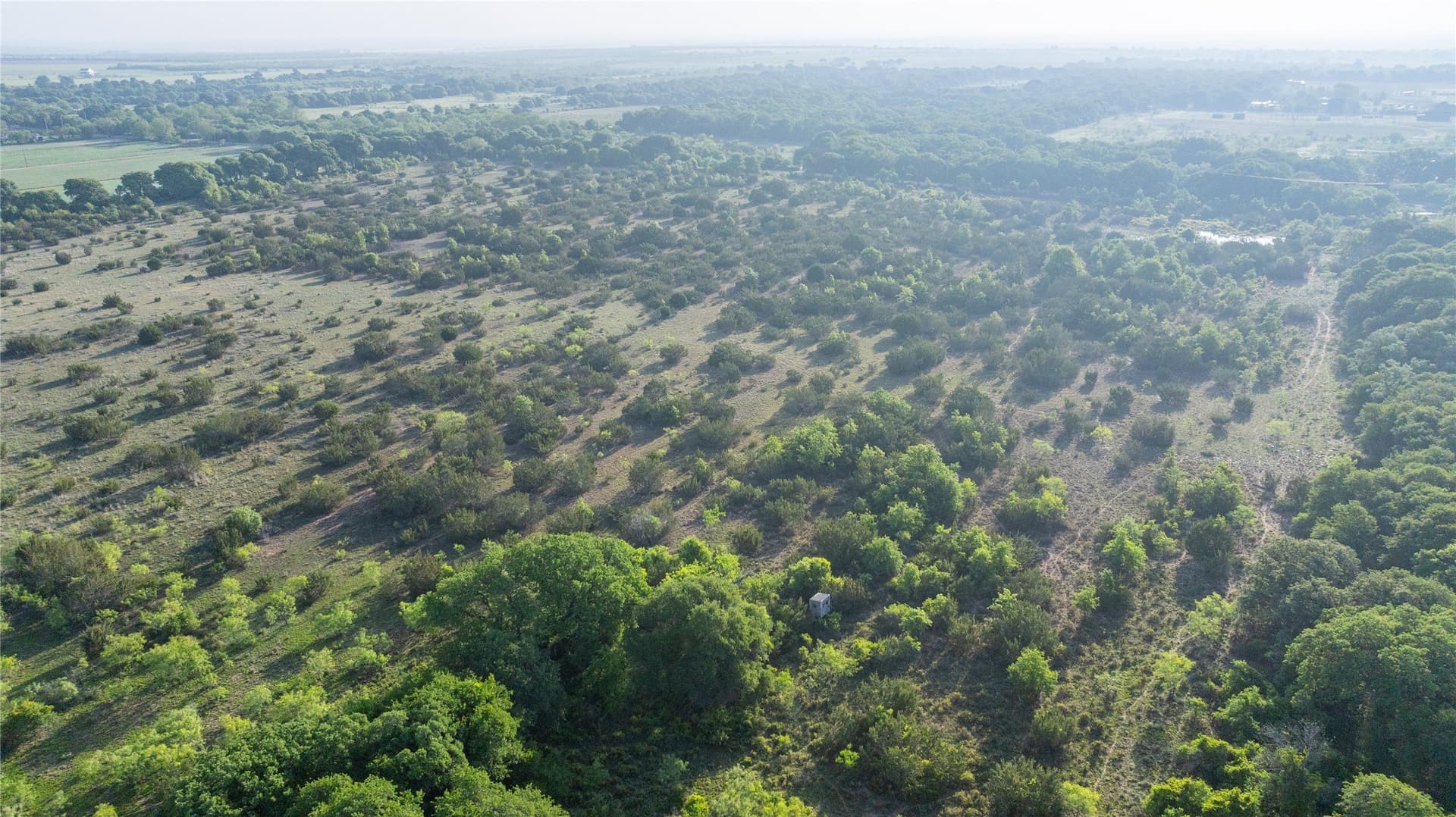 33 acres in Callahan County - photo 10