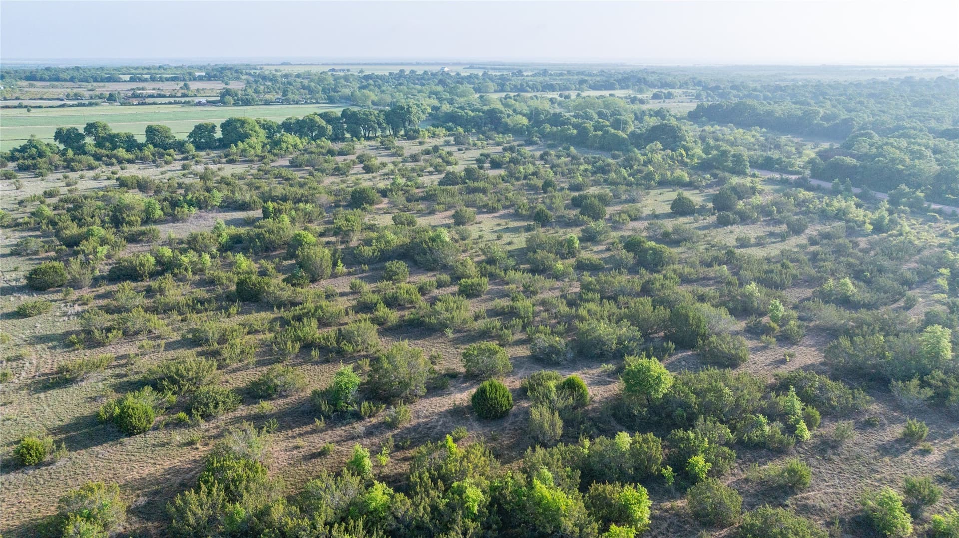 33 acres in Callahan County - photo 13