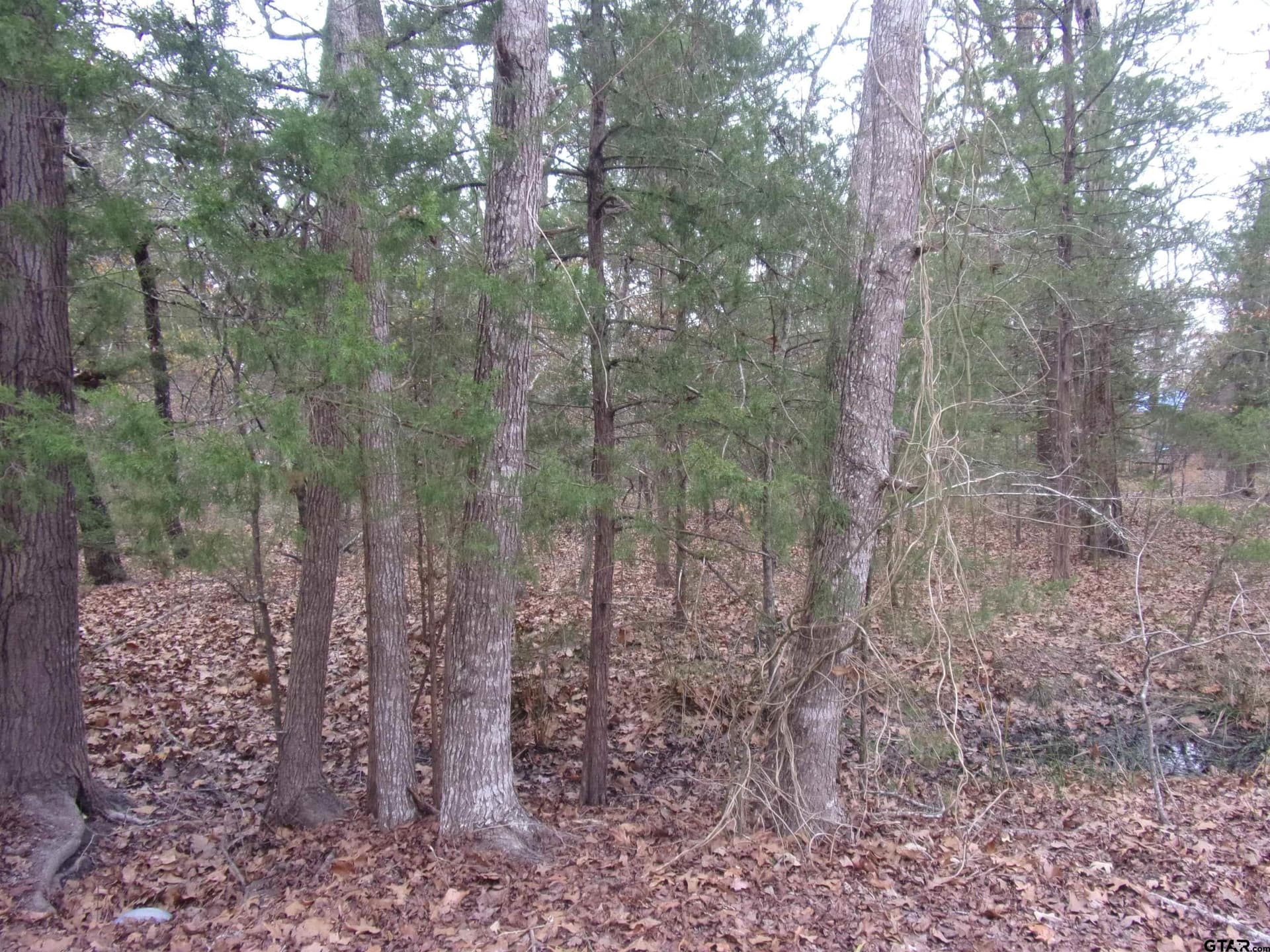0.24 acres in Van Zandt County - photo 3
