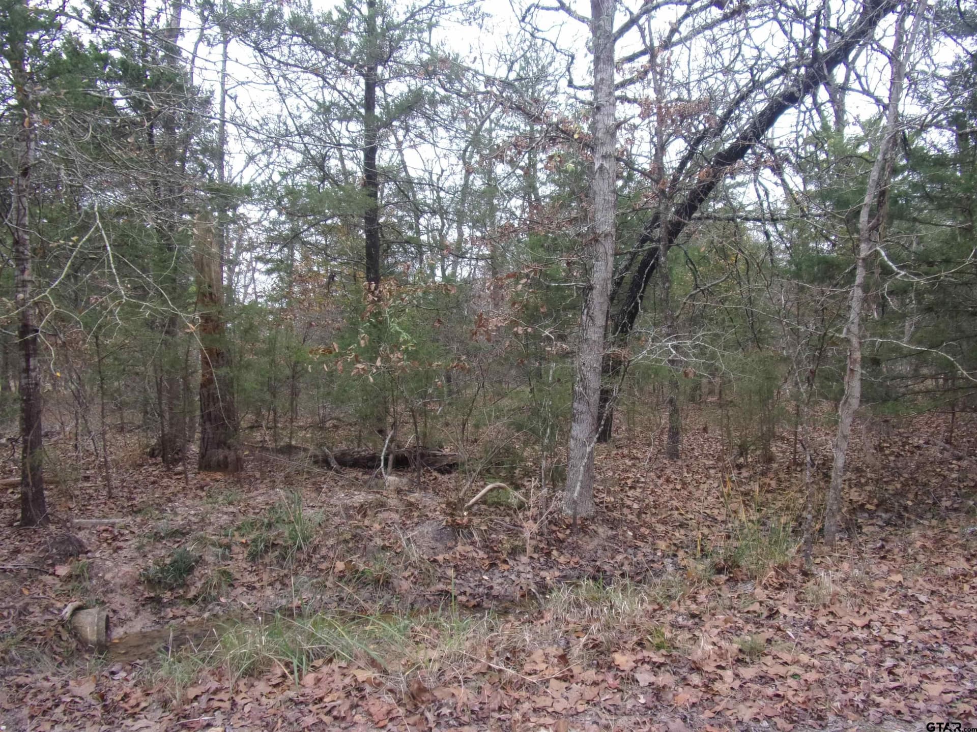 0.24 acres in Van Zandt County - photo 2