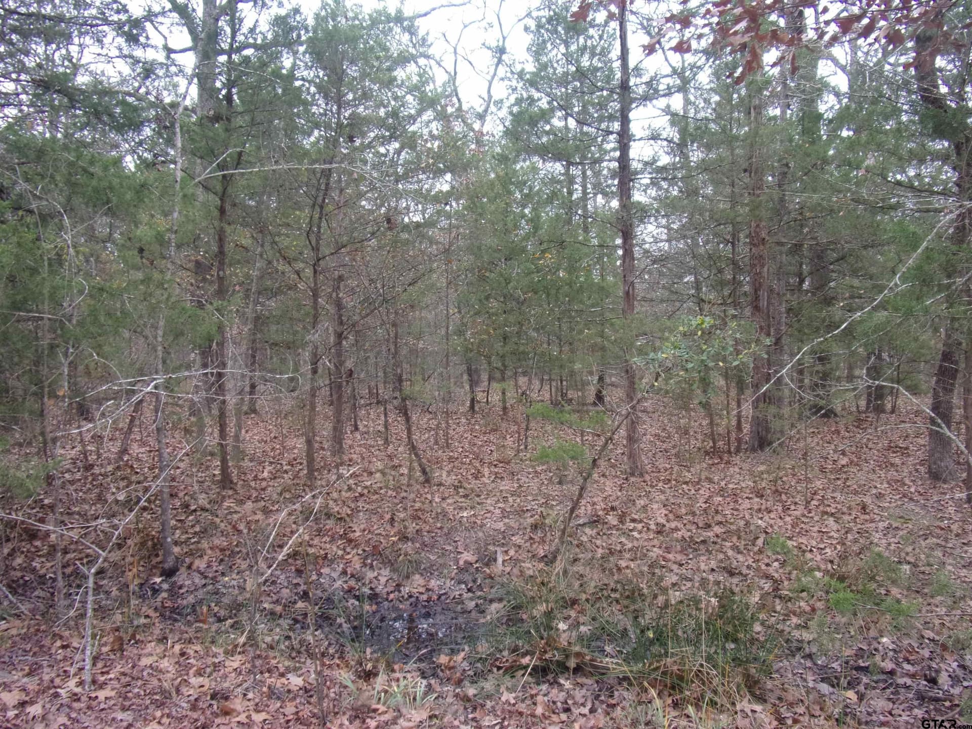 0.24 acres in Van Zandt County - photo 4
