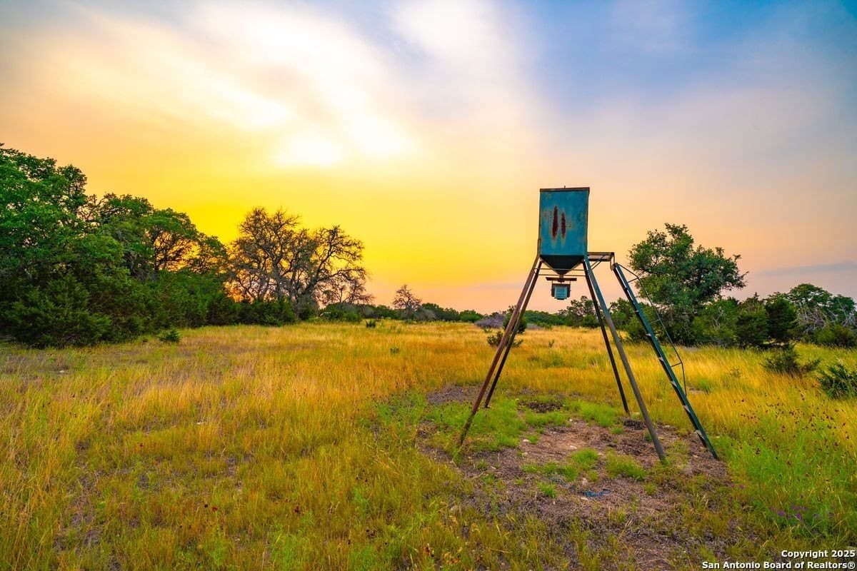 125 acres in Kendall County gallery image 4