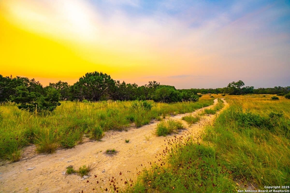 125 acres in Kendall County gallery image 3