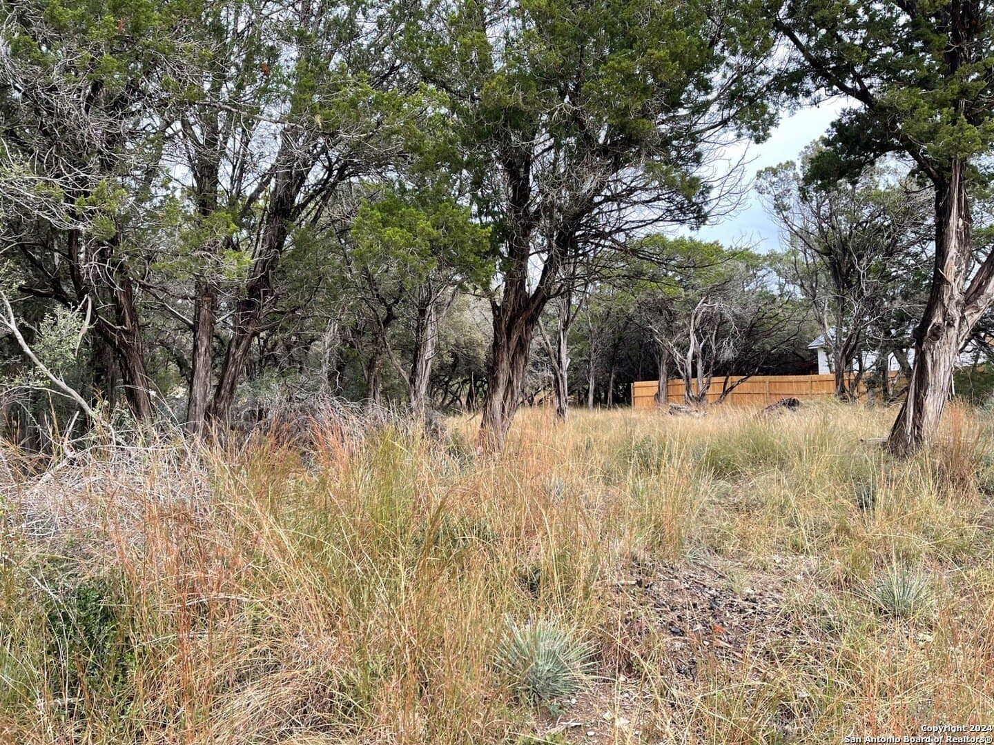 0.12 acres in Bandera County gallery image 4