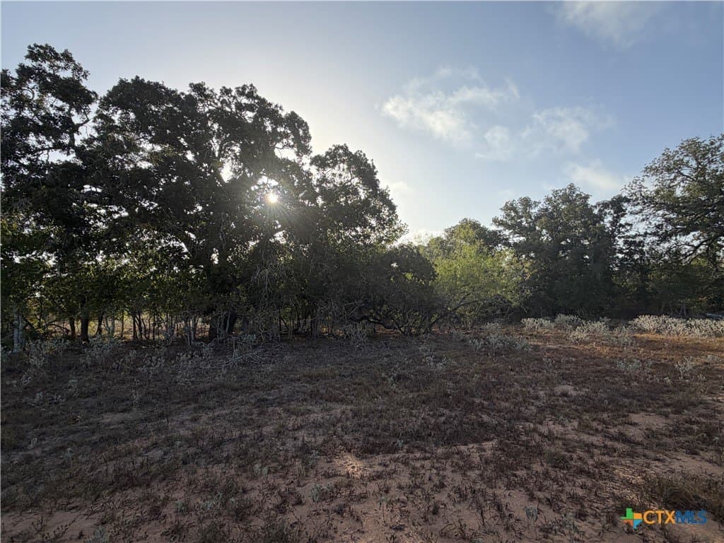 28.5 acres in Wilson County - photo 8