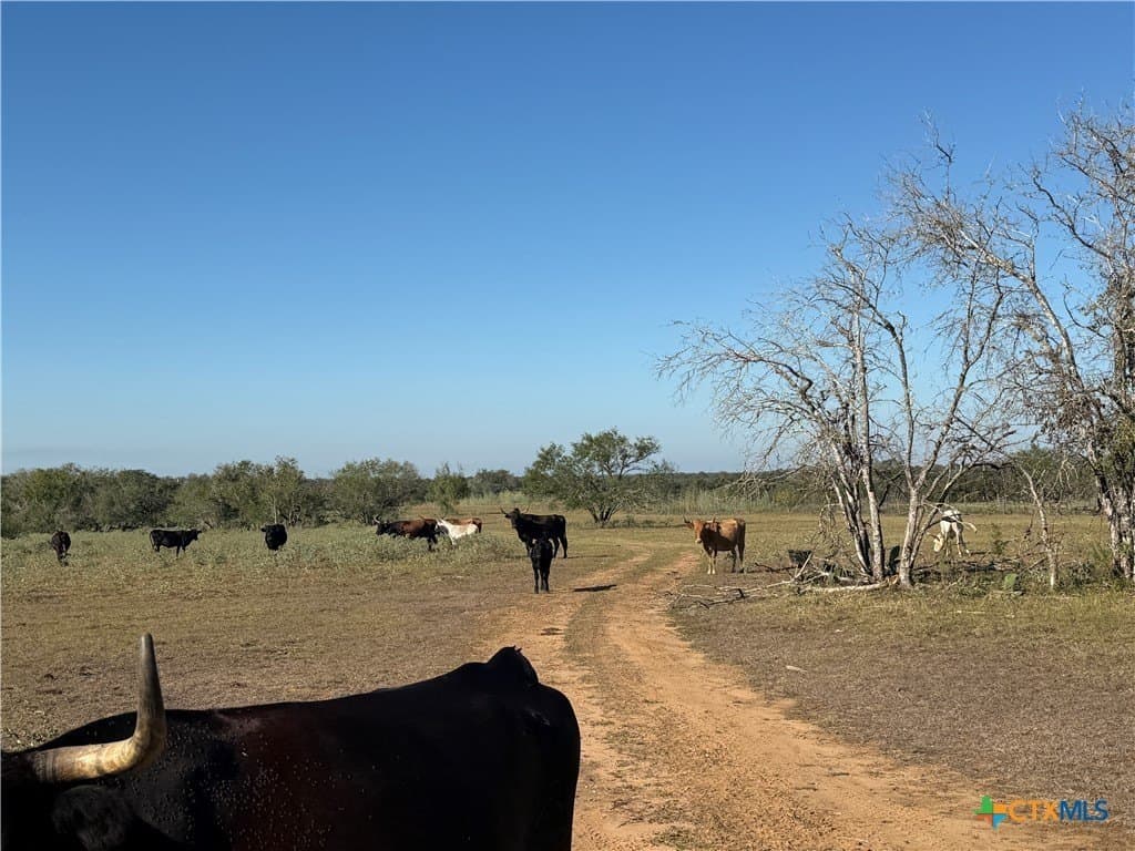 28.5 acres in Wilson County - photo 12
