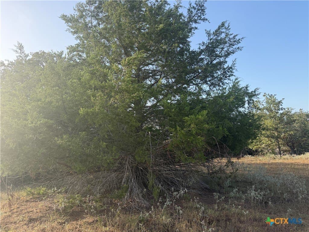 28.5 acres in Wilson County - photo 9
