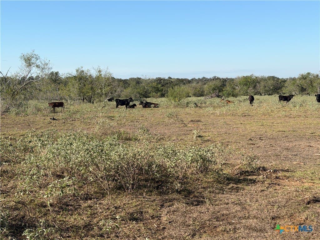 28.5 acres in Wilson County - photo 10