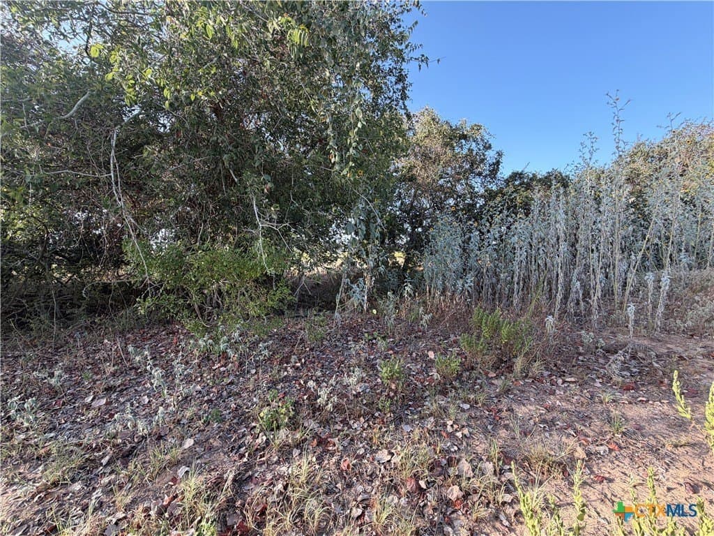28.5 acres in Wilson County - photo 7